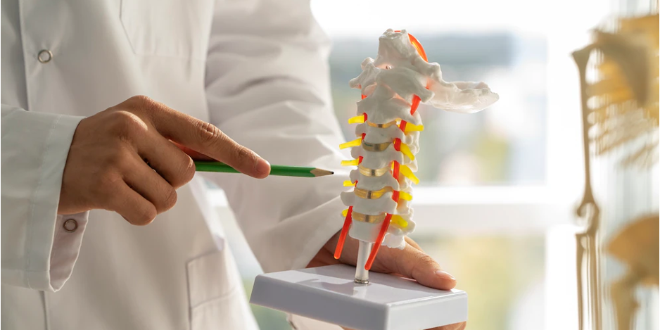 Leading the Way in Spine Surgery- Your Destination for Excellence in Dallas, Texas Leading the Way in Spine Surgery: Your Destination for Excellence in Dallas, Texas