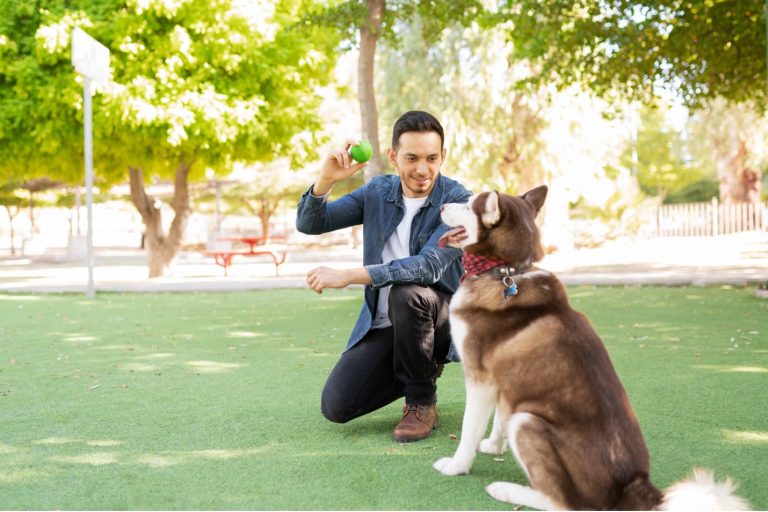 Discover the Benefits of Minimally Invasive Back Surgery in Dallas, TX at Texas Neuro-Spine Surgery