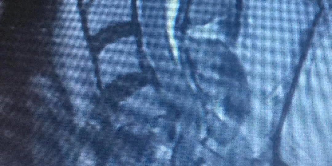 159201706_2968718330074227_7971792619424055925_n