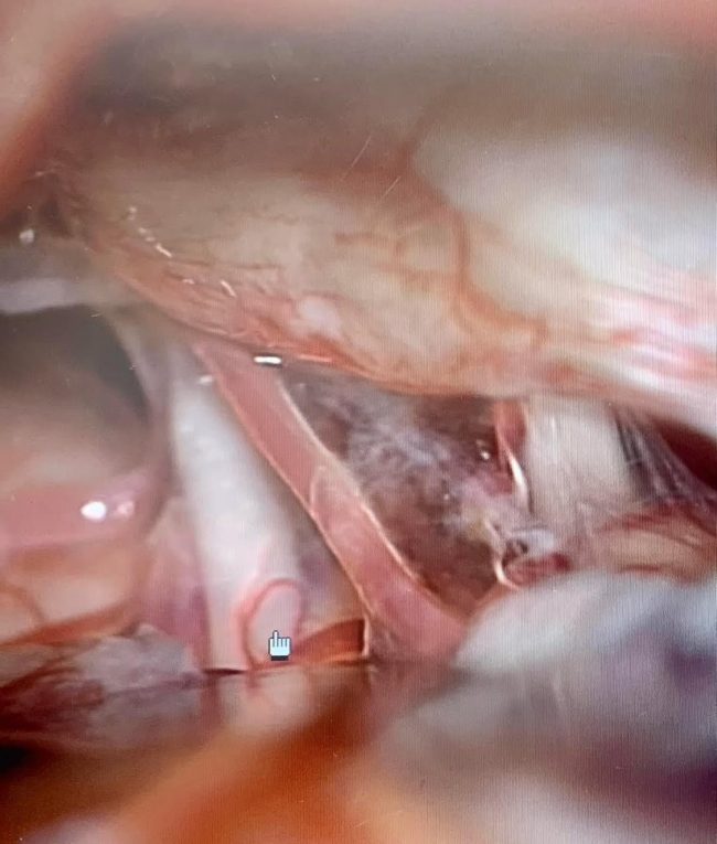 162956970_5227554923984512_8805401669715997416_n