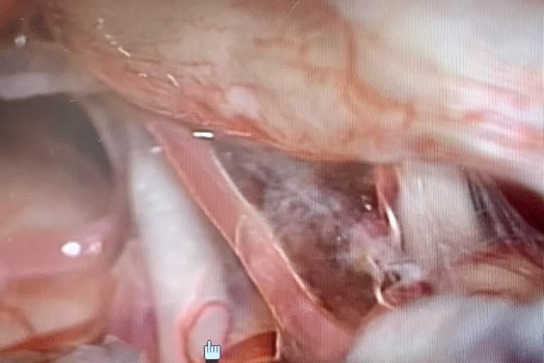 162956970_5227554923984512_8805401669715997416_n