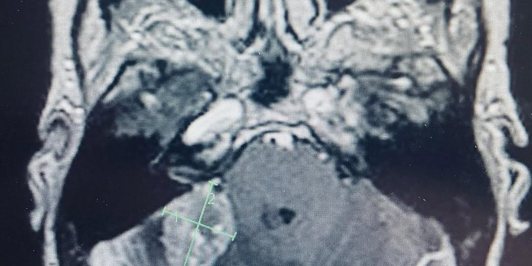 178601091_172760058055464_2310302138048444386_n