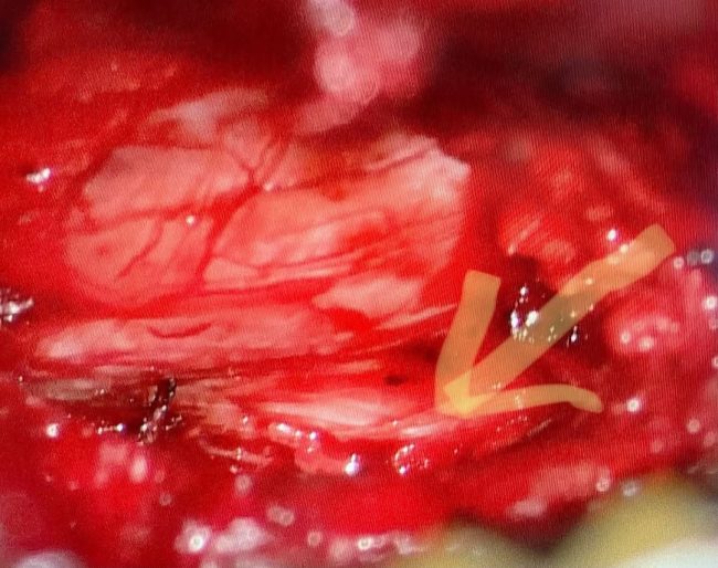 179829153_460749168519404_6286794258982069967_n