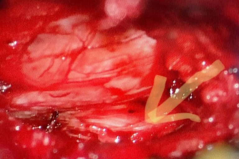 179829153_460749168519404_6286794258982069967_n