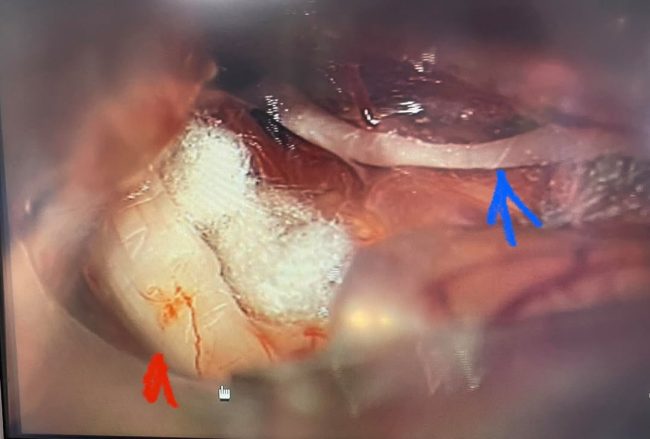 217844797_980067882552681_1257687440824051792_n