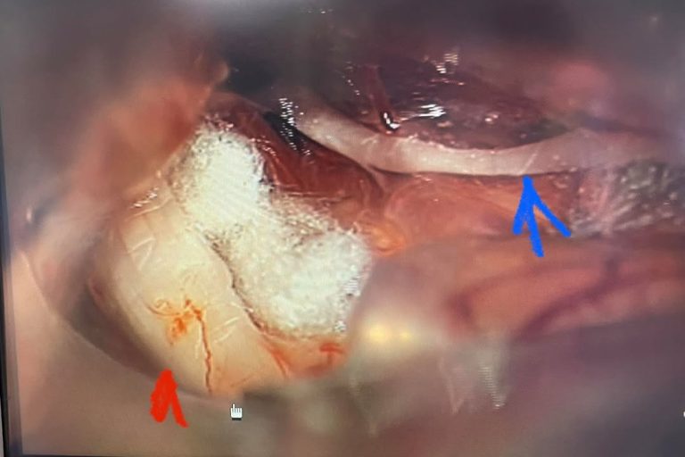 217844797_980067882552681_1257687440824051792_n