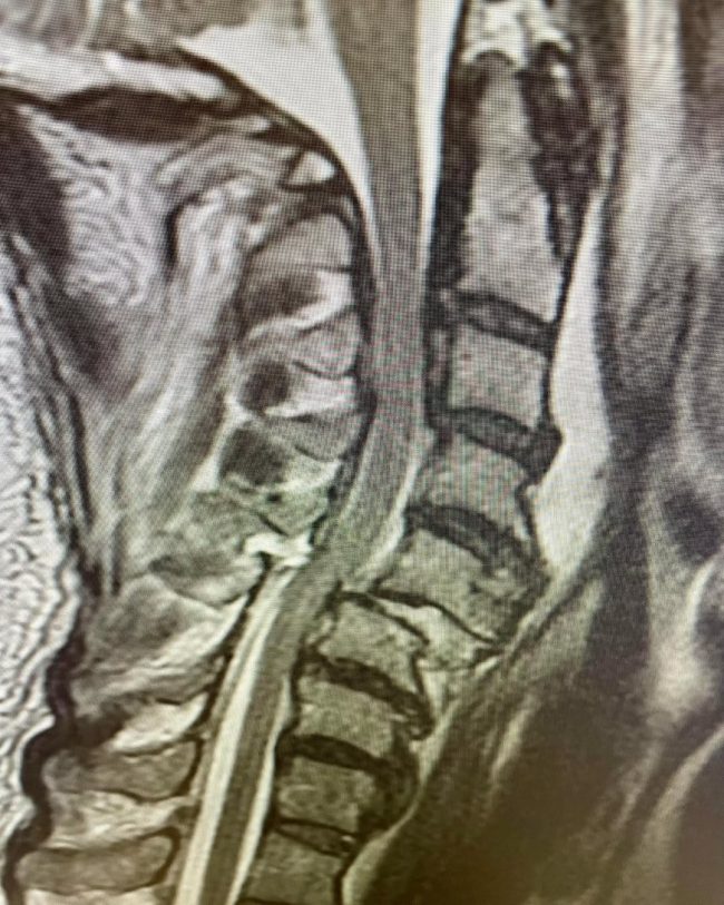 241536740_555679718819906_818867740590444019_n