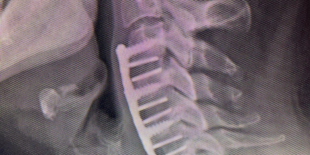 329612325_1242596643013522_5031489211310051581_n