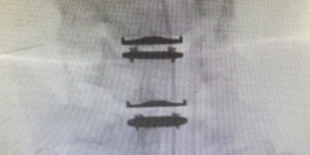 625033486_18343319011239449_7376276187529493684_n